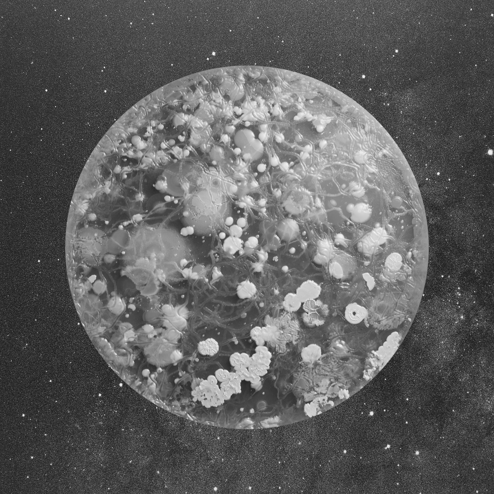 A Micro Odyssey: The relationship between science and art